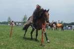 Zawody jeździeckie w Łagowie – niedziela